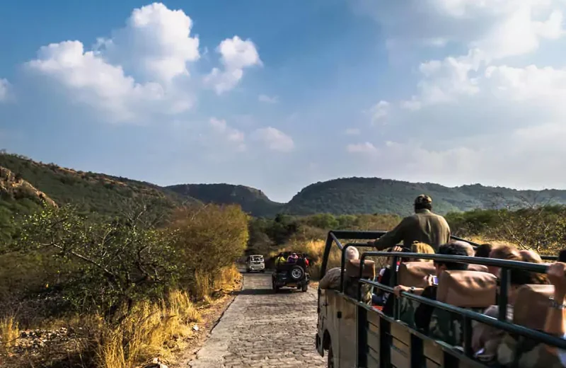 Golden Triangle Tour with Bandhavgarh safari