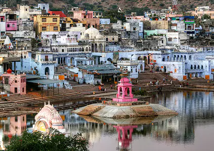 One Day Trip to Sariska from Delhi with Local Guide