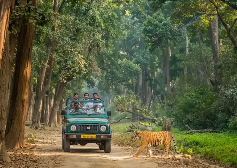 Golden Triangle Tour with Jim Corbett
